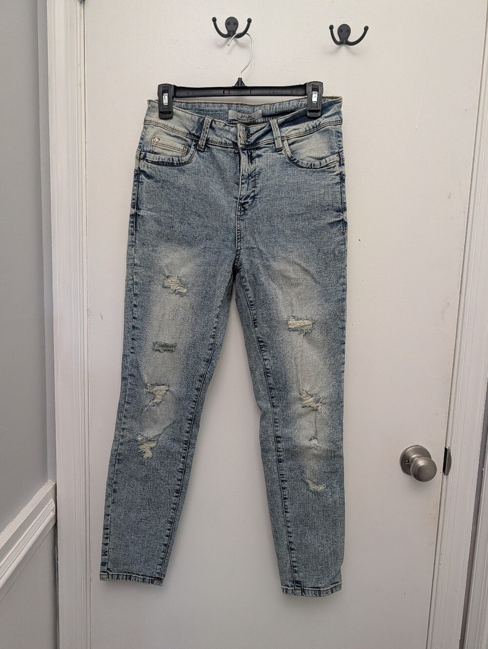 Harmony And Havoc Distressed Jean